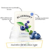 The Fresh Mask Sheet - Blueberry